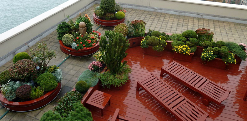 در واقع باغ بام یا همان روف گاردن، یک نوع باغ و یا باغچه است که در پشت بام و بالکن خانه‌ها وجود دارد.