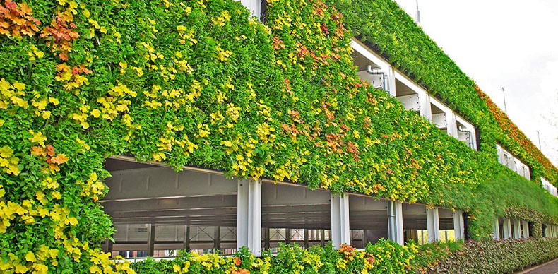 در این نوع اغلب قسمت‌های گوناگونی از جنس فولاد ساخته می‌شود که بیشتر برای گیاهان بالارونده مناسب می‌باشد. این دیوار سبز اغلب به سازه ساختمان متصل می‌شود. البته برای این دیوار سبز شبکه‌ه ای، بهتر می‌باشد از گیاهانی استفاده شود که رشد کندتری داشته باشد.