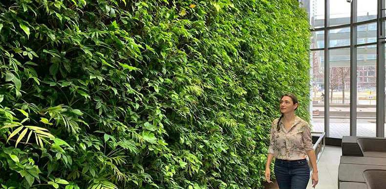  انواع دیوار سبز برای زیباسازی