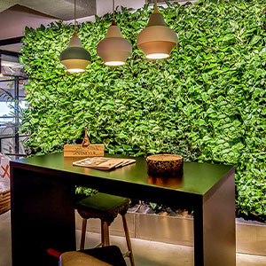 10 advantages of a green wall or green wall + tips about it