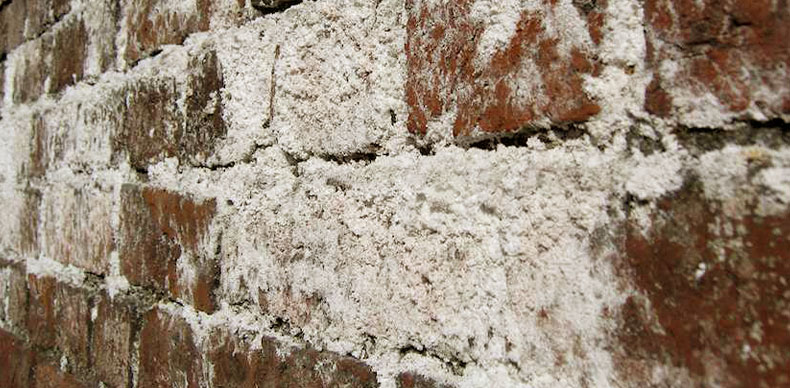  ریشه یابی شوره و سفیدک در نمای آجری ساختمان